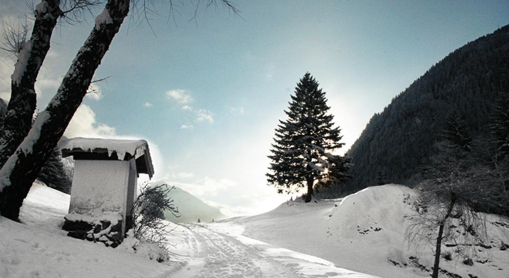 Apartments Haus Schoen - Preise Inclusive Pitztal Sommer Card Йерценс Экстерьер фото