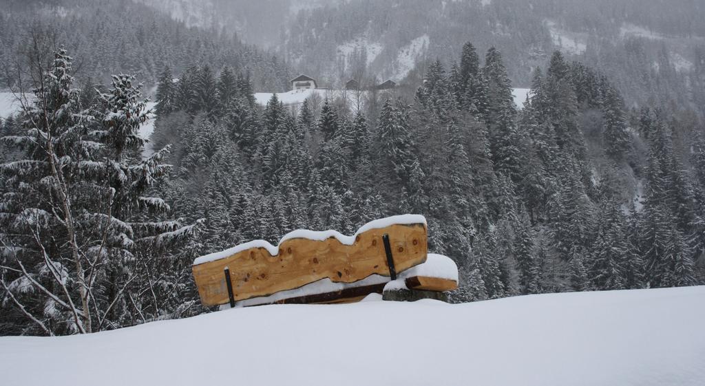 Apartments Haus Schoen - Preise Inclusive Pitztal Sommer Card Йерценс Экстерьер фото